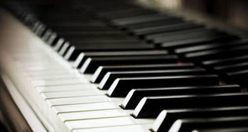 專業(yè)鋼琴一對一授課 沈陽音樂學院鋼琴系的卓越傳承