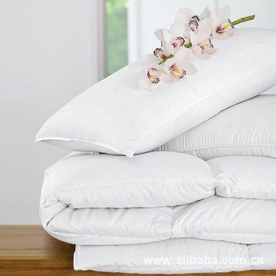 【歌登飛 白色羽絨枕芯 保暖性強,透氣性好.】價格,廠家,圖片,枕頭、枕芯、保健枕,深圳市三鴻羽絨制品(銷售部)-